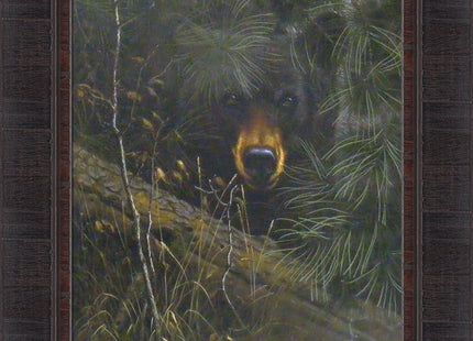 The Watcher by Derk Hansen 17x21 Black Bear Hiding In Pine Trees Framed Art Print Wall Décor Picture
