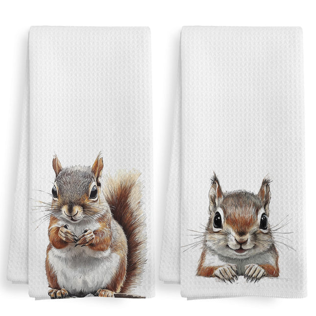 XNXLDYLH Funny Fall Squirrel Kitchen Towels and Dishcloths Sets of 2, Squirrel Decor Gifts, Woodsy Rustic Cabin Lodge Forest Nursery Home Decor Dish Hand Tea Towels for Bathroom Kitchen, 16x24 Inches