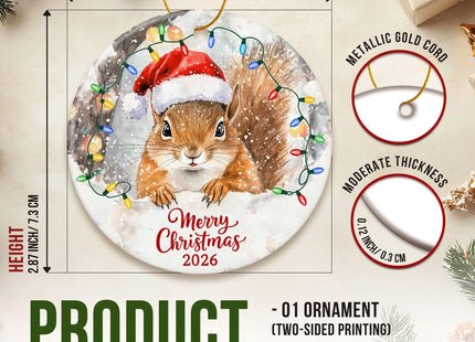 ZAGKOO Squirrel Christmas Ornament, Funny Squirrel Gift for Squirrels Lover