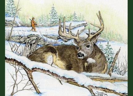 Deer Diaries: Tales of a Maine Game Warden