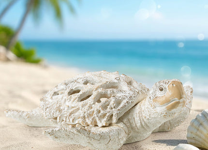 VVGIFTS Ocean White Sea Turtle Coral Reef Beach Coastal Home Shelf Decor