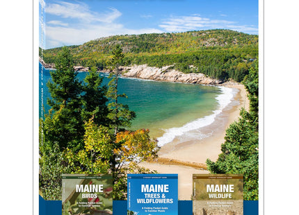 Maine Nature Set: Field Guides to Wildlife, Birds, Trees & Wildflowers of Maine (Nature Observation North America)
