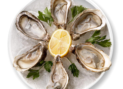 Outset Oyster Serving Tray, 6 Slots and Condiment Cup, Melamine