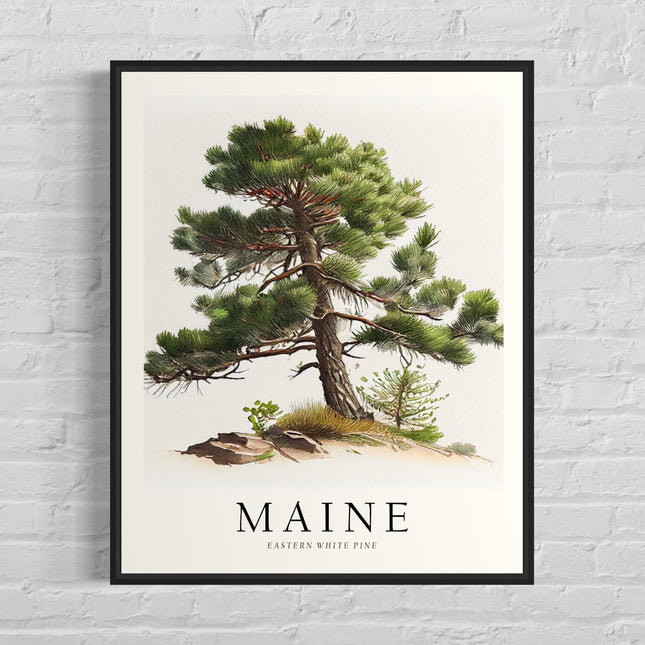 Maine State Tree Art Print, Maine Poster Wall art Decor, Maine State Map Travel Poster, Home Office Wall Decoration, Bedroom, Living Room Artwork. (Maine E, 16x20 inches + (Black Frame))