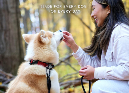 MADE TO ROAM Comfort Collar - Adjustable Nylon Dog Collar with Soft Comfortable Padding, Light Aviation Aluminum Metal Buckle for Small, Medium and Large Dogs (Maine Marina, Size 2)