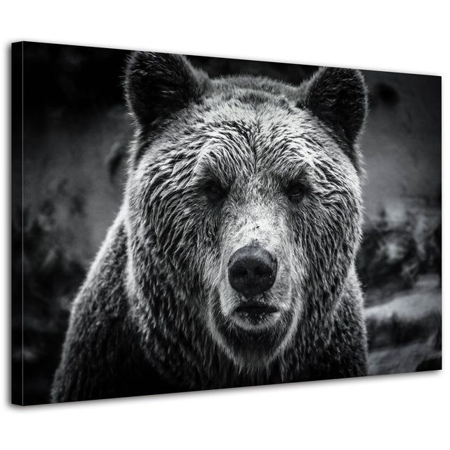 Bear Canvas Wall Art Black and White Bear Pictures Wall Decor Nature Wilds Animal Poster Canvas Prints for Bathroom Living Room Vintage Beast Portraits Painting Office Artwork Home Decorations 12x16”