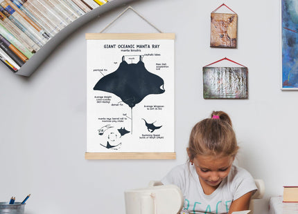 FDHSPAAM Ocean Manta Ray Anatomy Wall Art Decor, Coastal Beach Room Decorations, Coastal Beach Marine Life Educational Wall Art Posters for Boys Kids Room Classroom Home Decor, 12x16 Inch