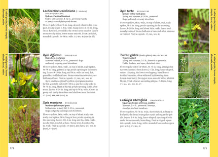 Wildflowers of New England (A Timber Press Field Guide)