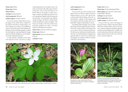 Wildflowers of New England (A Timber Press Field Guide)