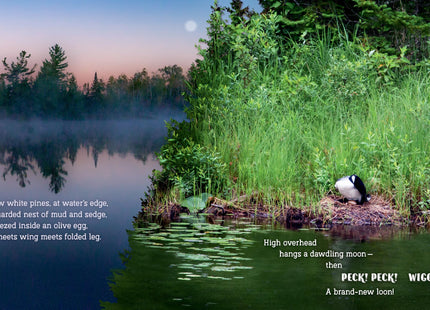 Secrets of the Loon