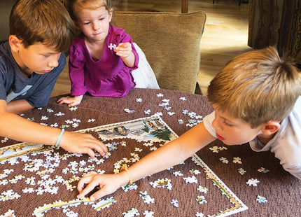 Acadia National Park Map JJigsaw Puzzle - 1000 Pieces, Hand-Illustrated - Educational & Fun Family Activity, Ages 7+, Includes Poster