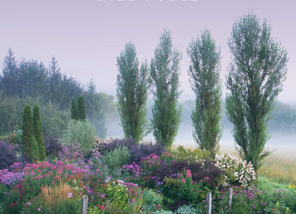 Spirit of Place: The Making of a New England Garden