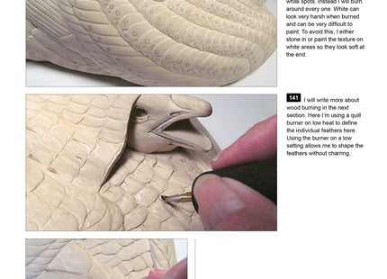 Loon and Chicks: Complete Step-By-Step Instructions for Carving and Painting an Adult Common Loon and Its Young