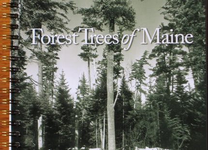 Forest Trees of Maine: 1908-2008