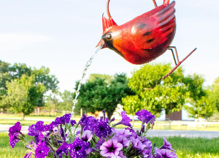 Bluehandworks Cardinal Watering Can
