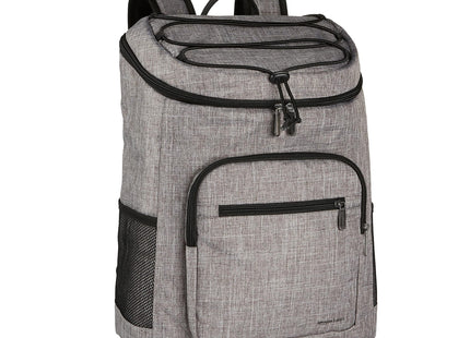 Amazon Basics Insulated Cooler Backpack for Camping and Hiking, Portable Soft Sided Cooler with 30 Can Capacity, Leak-Proof, Water-Resistant, Gray