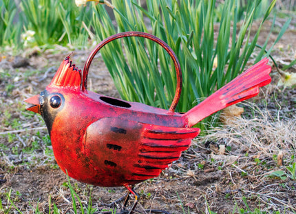 Bluehandworks Cardinal Watering Can