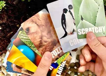 Hapinest Find and Seek Scavenger Hunt Card Game, Indoor Outdoor Activities for Kids Toddler & Family, Beach Camping Travel Car Games for Road Trips, Kids Scavenger Hunt Game Age 3 4 5 6 Years Old & Up