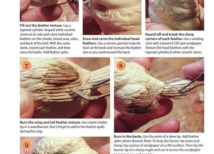 Complete Guide to Bird Carving: 15 Beautiful Beginner-to-Advanced Projects (Fox Chapel Publishing) Woodcarving a Hummingbird, Chickadee, Owl, Woodpecker, Goldfinch, and More, Step-by-Step