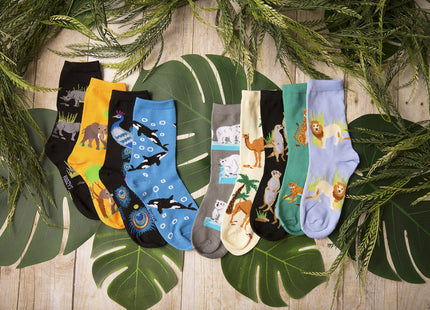 Foozys Women’s Crew Socks | Black Bear Zoo Animal Novelty Socks | 2 Pair