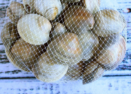 100pcs Undyed Seafood Boil Bags 24” Mesh Bags for Crawfish Shellfish Crab Boil Reusable Produce Onion Net Bags for Fruit Vegetable Storage