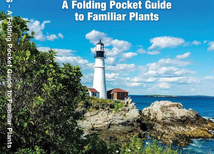 Maine Trees & Wildflowers: A Folding Pocket Guide to Familiar Plants (Wildlife and Nature Identification)