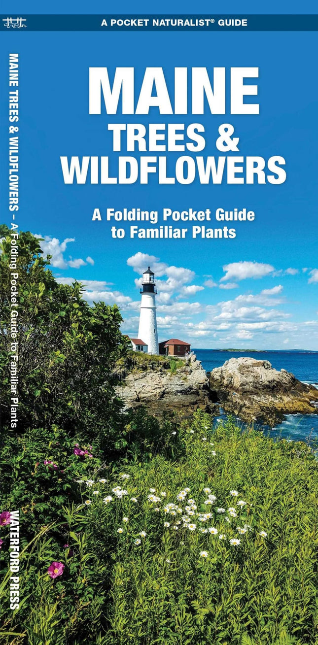 Maine Trees & Wildflowers: A Folding Pocket Guide to Familiar Plants (Wildlife and Nature Identification)