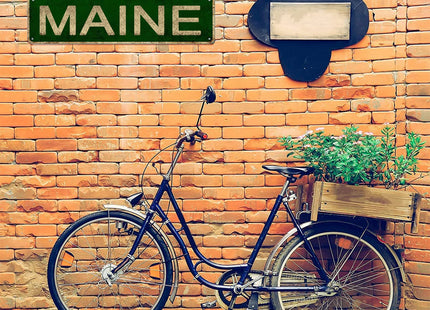 YOYUJU Maine Sign, America State Name Vintage Metal Tin Sign 4x16 Inch