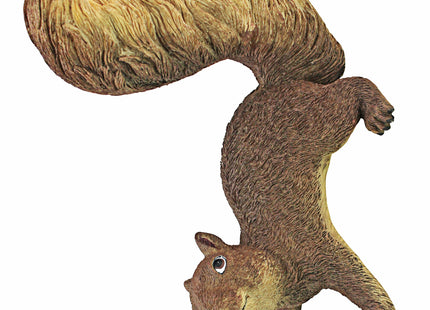 Design Toscano Simone, The Squirrel Hanging Sculpture