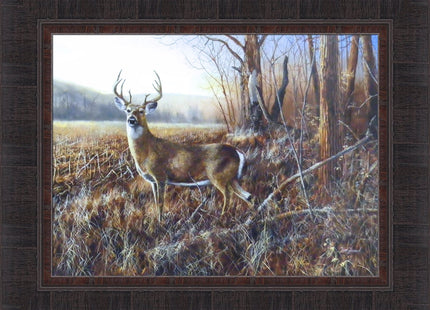 Bluff Country Buck by Jim Hansel 17x21 Whitetail Deer Framed Art Print Wall Décor Picture