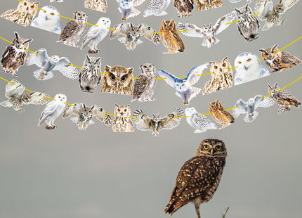 4pcs Owl Theme Banners Owl Party Decorations Woodland Animal Party Supplies for Woodland Forest Animal Birthday Party Baby Shower Supplies