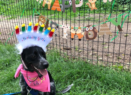 CC HOME Woodland Creature Birthday Banner,Woodland Animals Happy Birthday Forest Friend Animal Banner for Kids,Boys,Baby Shower,Birthday Party Decoration