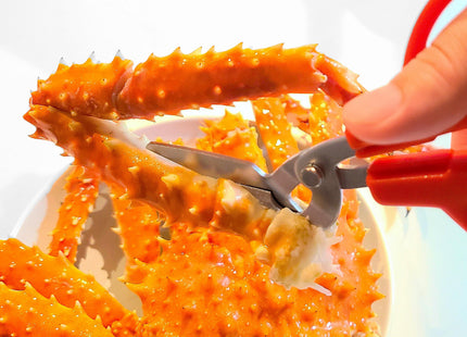 CANARY Crab Scissors Heavy Duty 6.7", Made in JAPAN, Seafood Scissors for Cutting Crab Legs, Lobster, Shell, Sharp Serrated Japanese Stainless Steel Blade, Red