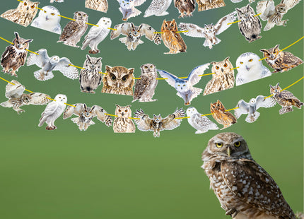 4pcs Owl Theme Banners Owl Party Decorations Woodland Animal Party Supplies for Woodland Forest Animal Birthday Party Baby Shower Supplies