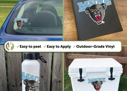 Desert Cactus Maine Black Bears Sticker Decal (IND 00001)