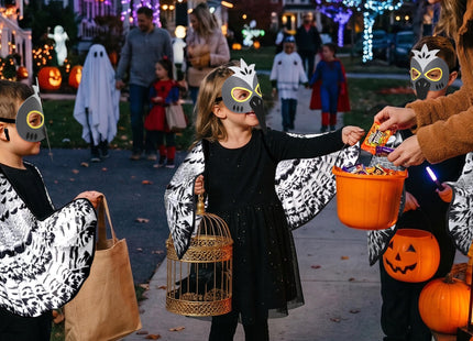 Double-Sided Bird Costume Owl Eagle Wings and Mask for Kids (Snowy Owl)