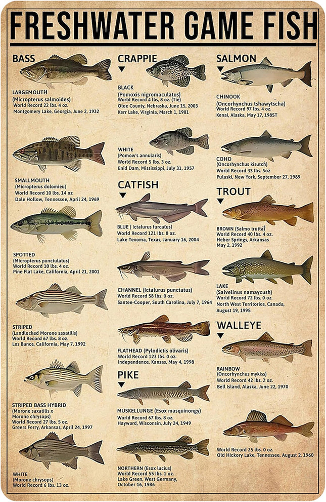 Smilelife Boy's Fishing Gifts Vintage Fresh Water Gamefish Knowledge Tin Sign for Man Cave Boys Hunting Room Bedroom Lake House Cabin Wall Art Decor 8x12 Inch (3069)