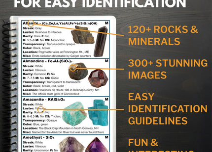 New England Rocks And Minerals Identification Field Guide | Waterproof