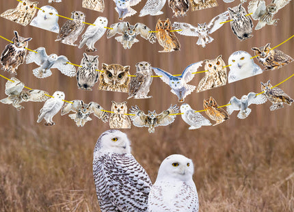 4pcs Owl Theme Banners Owl Party Decorations Woodland Animal Party Supplies for Woodland Forest Animal Birthday Party Baby Shower Supplies