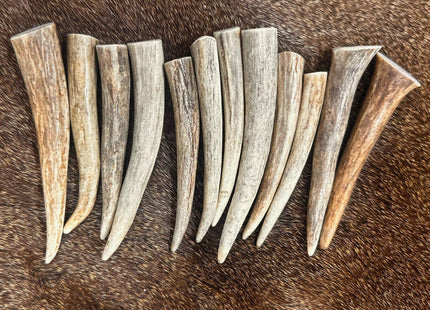 New WhiteTail Naturals - Deer Antler Crafting Tips, Points for Jewelry Making, Key Chains, Home Decor, Native Crafts & Pendants