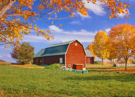 Fodor's Maine, Vermont, & New Hampshire: with the Best Fall Foliage Drives & Scenic Road Trips (Full-color Travel Guide)