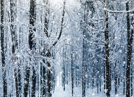 Ambesonne Winter Duvet Cover Set, Snow Covered Forest Idyllic Early Morning Scenery Seasonal Xmas Nature, Decorative 3 Piece Bedding Set with 2 Pillow Shams, Queen Size, Ecru Blue