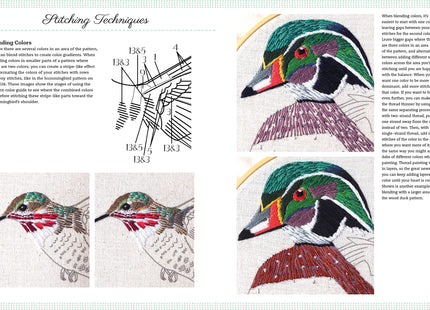 Embroidery Made Easy: Beautiful Birds: Easy techniques for learning to embroider a variety of colorful birds, including a cardinal, a barn owl, and a puffin