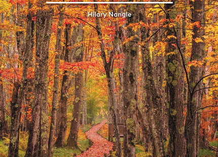 Moon Maine: Acadia National Park, Lobster & Lighthouses, Outdoor Adventures (Travel Guide)