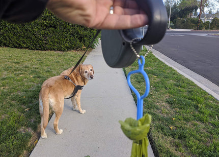 The dooloop Hands Free Dog Poop Holder - Carry Pet Waste Bag with Attachable Leash Accessory for Dog Walking. Now made with Recycled/Recyclable Plastic. Maine, USA (Blue)