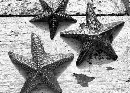 It's Cactus Starfish, Set of 3, Sea Life Nautical Home Decor, Recycled Wall Art 8x8 and 5x5 Inches, Haitian, Decorative, Plaque
