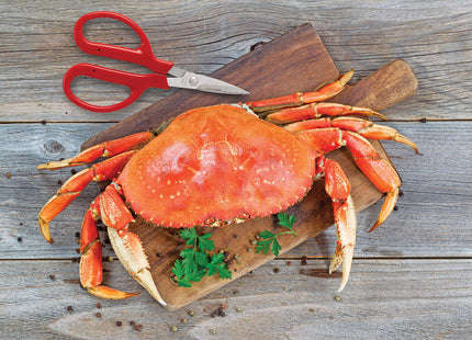 Maine Man Crab Seafood Scissors, Japanese Stainless Steel Blades, Serrated Precision Cuts For Crab And Lobster Shells