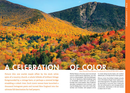 Fodor's New England (Full-color Travel Guide)