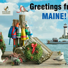 Collection image for: Postcards