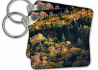 set of 2 Key Chains